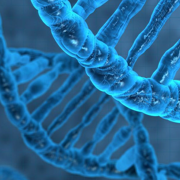 services-BIOCHEMISTRY